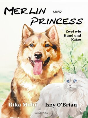 cover image of Merlin und Princess